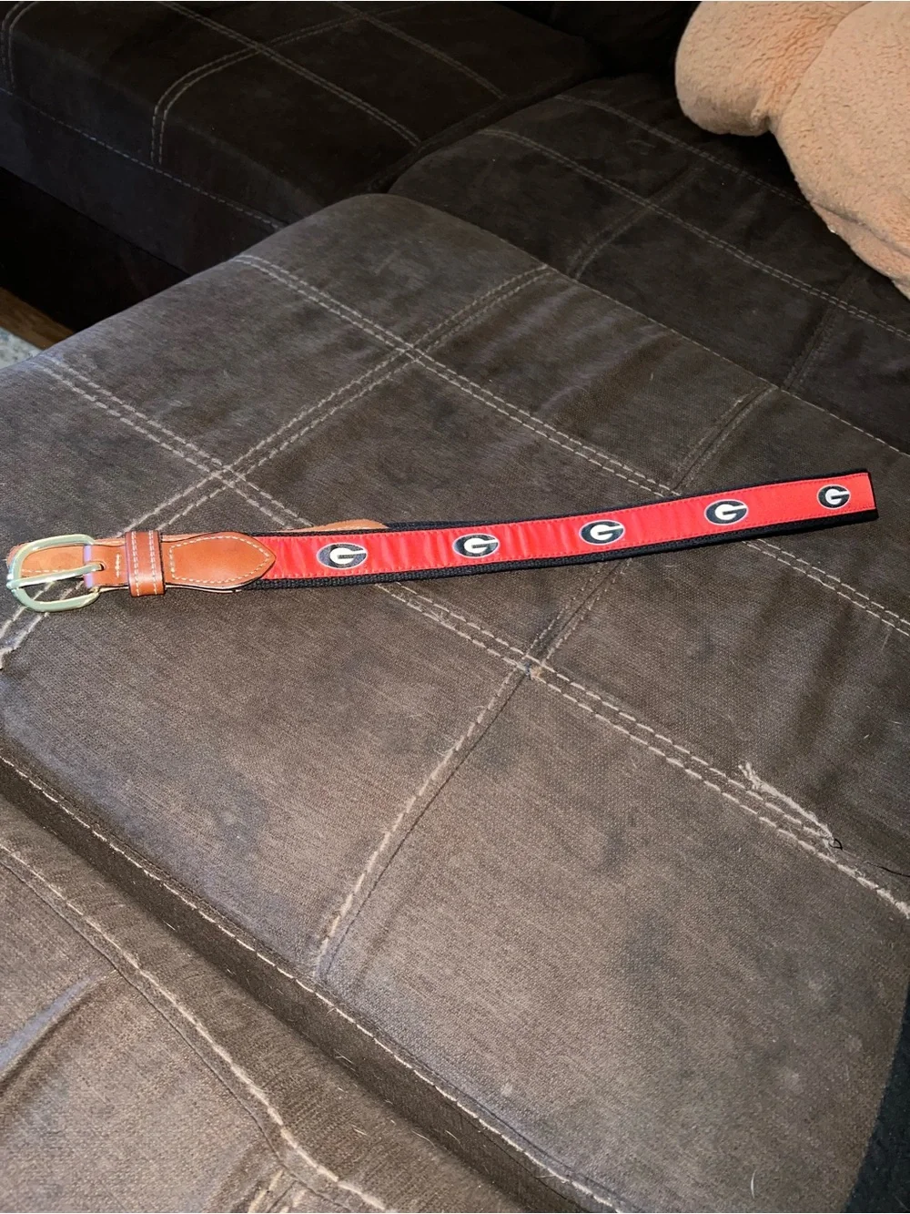 Georgia Bulldogs Brown Leather & Red Collegiate Web Belt